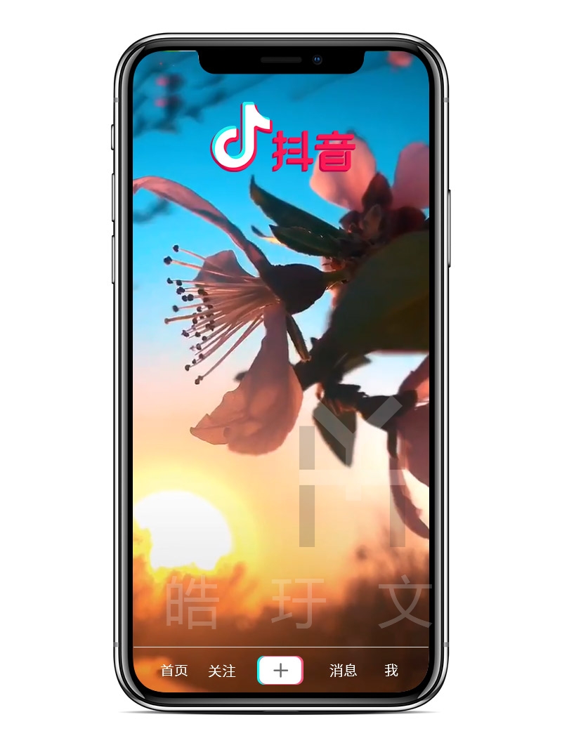 夕陽(yáng)2