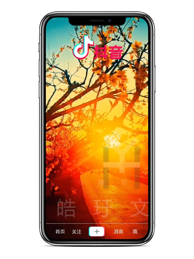 夕陽(yáng)